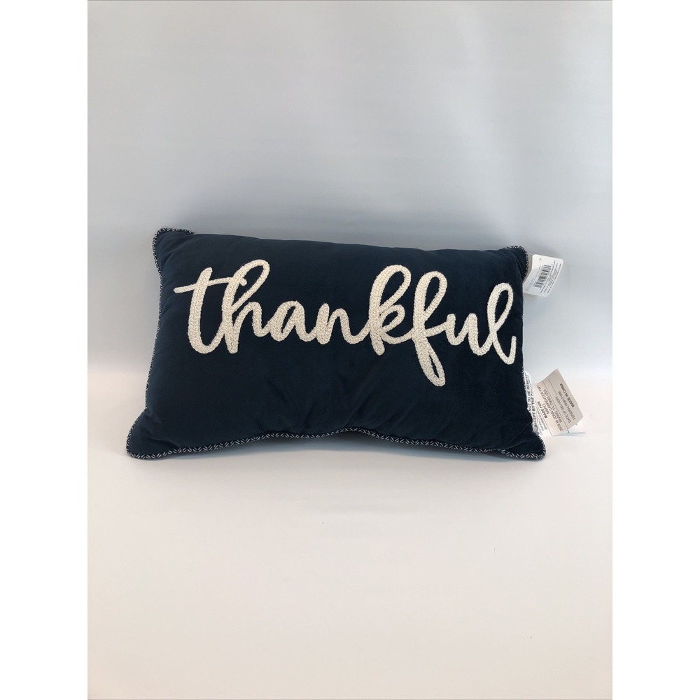 "Thankful"‎ Ashland Decorative Throw Pillow Center Blue Suede 10 X  19